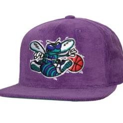 Mitchell & Ness Snapback-All Directions Snapback Hwc Charlotte Hornets
