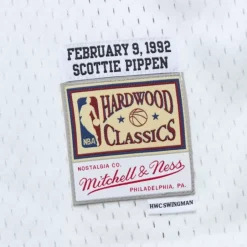 Youth Mitchell & Ness Big Kids-All Star Game Swingman Scottie Pippen All Star Jersey