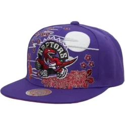 Mitchell & Ness Snapback-Asian Heritage Snapback Hwc Toronto Raptors