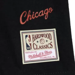 Men Mitchell & Ness T-Shirts & Tops-Asian Heritage Ss Tee 5.0 Chicago Bulls