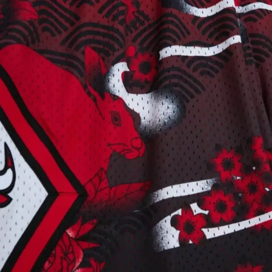 Men Mitchell & Ness Shorts-Asian Heritage Swingman Chicago Bulls 1997 Shorts 5.0