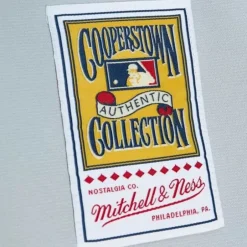 Mitchell & Ness Mlb Authentic-Authentic Bo Jackson Chicago White Sox Road 1993 Jersey