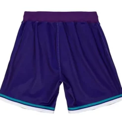 Men Mitchell & Ness Shorts-Authentic Charlotte Hornets Alternate 1994-95 Shorts
