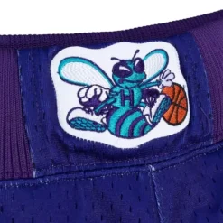 Men Mitchell & Ness Shorts-Authentic Charlotte Hornets Alternate 1994-95 Shorts