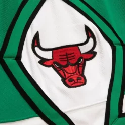 Mitchell & Ness Nba Authentic-Authentic Chicago Bulls 2008-09 Shorts