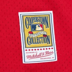 Mitchell & Ness Mlb Authentic-Authentic Darren Daulton Philadelphia Phillies 1993 Jersey