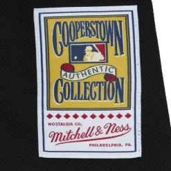 Mitchell & Ness Mlb Authentic-Authentic Dontrelle Willis Florida Marlins 2003 Bp Jersey