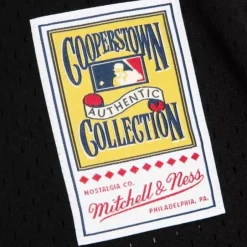 Mitchell & Ness Mlb Authentic-Authentic Frank Thomas Chicago White Sox 1993 Pullover Jersey