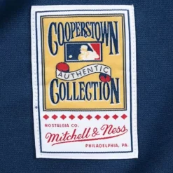 Mitchell & Ness Mlb Authentic-Authentic Jersey Houston Astros Alternate 1994 Craig Biggio