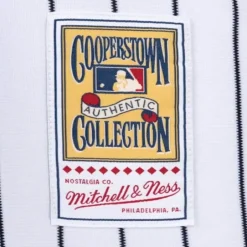 Mitchell & Ness Mlb Authentic-Authentic Jersey New York Yankees Home 1995 Don Mattingly