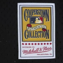 Mitchell & Ness Mlb Authentic-Authentic Lance Berkman Houston Astros 2002 Bp Jersey