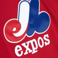 Mitchell & Ness Mlb Authentic-Authentic Randy Johnson Montreal Expos 1989 Pullover Jersey
