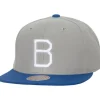 Mitchell & Ness Snapback-Away Snapback Coop Brooklyn Dodgers