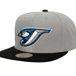 Mitchell & Ness Snapback-Away Snapback Coop Toronto Blue Jays