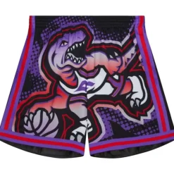 Men Mitchell & Ness Shorts-Big Face 7.0 Fashion Shorts Toronto Raptors