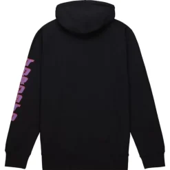 Men Mitchell & Ness Hoodies & Sweatshirts-Big Face 7.0 Hoodie Toronto Raptors