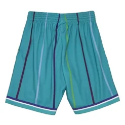 Men Mitchell & Ness Shorts-Big Face 2.0 Shorts Charlotte Hornets