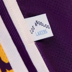 Men Mitchell & Ness Shorts-Big Face 2.0 Shorts Los Angeles Lakers