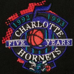 Mitchell & Ness Snapback-Big Face 7.0 Snapback Hwc Charlotte Hornets