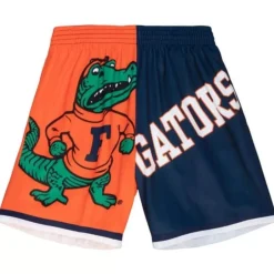 Men Mitchell & Ness Shorts-Big Face Fashion Shorts 5.0 University Of Florida