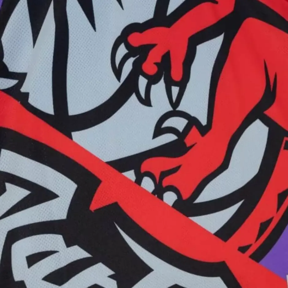 Men Mitchell & Ness T-Shirts & Tops-Big Face Fashion Tank 5.0 Toronto Raptors