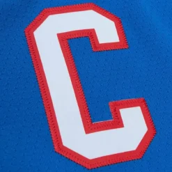 Mitchell & Ness Nhl Blue Line-Blue Line Joe Sakic Quebec Nordiques Dark 1992 Jersey