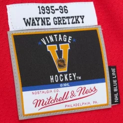 Mitchell & Ness Nhl Blue Line-Blue Line Wayne Gretzky St. Louis Blues Dark 1995 Jersey