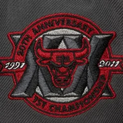 Mitchell & Ness Fitted-Born And Bred Fitted Hwc Chicago Bulls