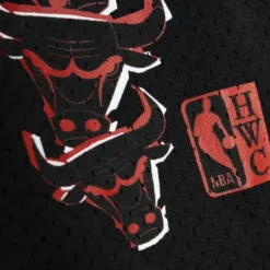 Men Mitchell & Ness Shorts-Born And Bred Short Chicago Bulls