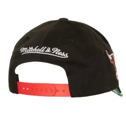 Mitchell & Ness Snapback-Brushed Past Ya Pro Snapback Hwc Chicago Bulls