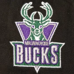 Mitchell & Ness Snapback-Brushed Past Ya Pro Snapback Hwc Milwaukee Bucks