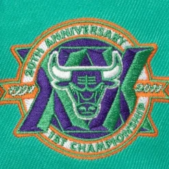 Mitchell & Ness Fitted-Cactus Cooler Fitted Hat Chicago Bulls