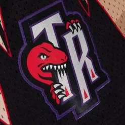 Men Mitchell & Ness Shorts-Camo Reflective Swingman Toronto Raptors 1998 Shorts