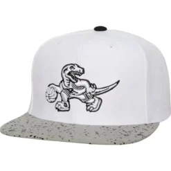 Mitchell & Ness Snapback-Cement Top Snapback Hwc Toronto Raptors