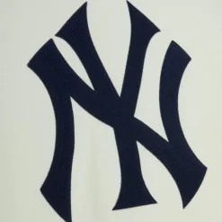 Men Mitchell & Ness Hoodies & Sweatshirts-Chainstitch Heavyweight Hoodie Current New York Yankees