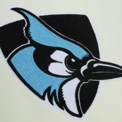 Men Mitchell & Ness Hoodies & Sweatshirts-Chainstitch Heavyweight Hoodie Current Johns Hopkins University