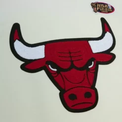 Men Mitchell & Ness Hoodies & Sweatshirts-Chainstitch Heavyweight Hoodie Retro Chicago Bulls