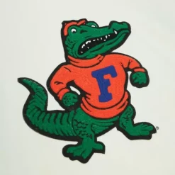 Men Mitchell & Ness Hoodies & Sweatshirts-Chainstitch Heavyweight Hoodie Retro University Of Florida