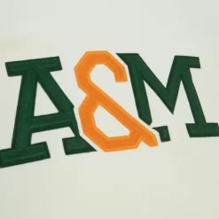 Men Mitchell & Ness Hoodies & Sweatshirts-Chainstitch Heavyweight Hoodie Current Florida A&M University
