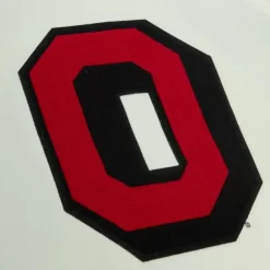 Men Mitchell & Ness Hoodies & Sweatshirts-Chainstitch Heavyweight Hoodie Retro Ohio State