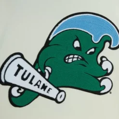 Men Mitchell & Ness Hoodies & Sweatshirts-Chainstitch Heavyweight Hoodie Current Tulane University