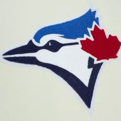 Men Mitchell & Ness Hoodies & Sweatshirts-Chainstitch Heavyweight Hoodie Current Toronto Blue Jays