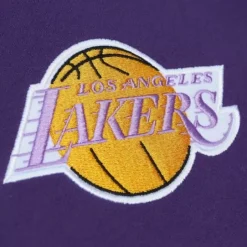 Men Mitchell & Ness Hoodies & Sweatshirts-City Collection Fleece Hoody Los Angeles Lakers