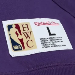Men Mitchell & Ness Hoodies & Sweatshirts-City Collection Fleece Hoody Los Angeles Lakers