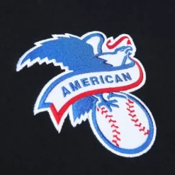 Men Mitchell & Ness Hoodies & Sweatshirts-City Collection Fleece Hoody Chicago White Sox