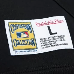 Men Mitchell & Ness Hoodies & Sweatshirts-City Collection Fleece Hoody Chicago White Sox