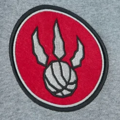 Men Mitchell & Ness Shorts-City Collection Fleece Pants Toronto Raptors