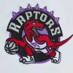 Men Mitchell & Ness Jackets & Outerwear-City Collection Lightweight Satin Jacket Toronto Raptors