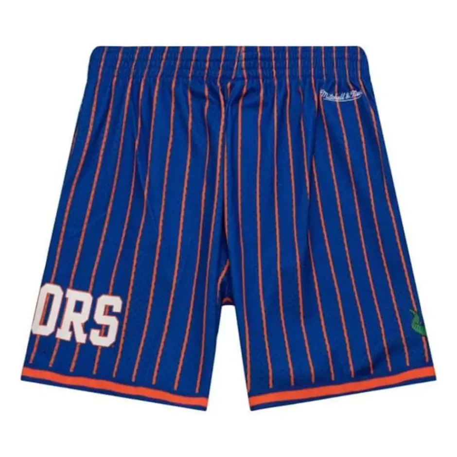 Men Mitchell & Ness Shorts-City Collection Mesh Shorts University Of Florida