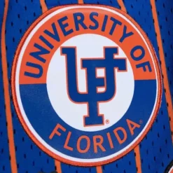 Men Mitchell & Ness Shorts-City Collection Mesh Shorts University Of Florida